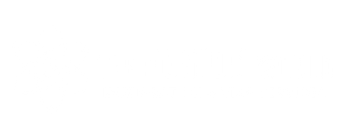 The Fusion World Immigration & Visa Services logo